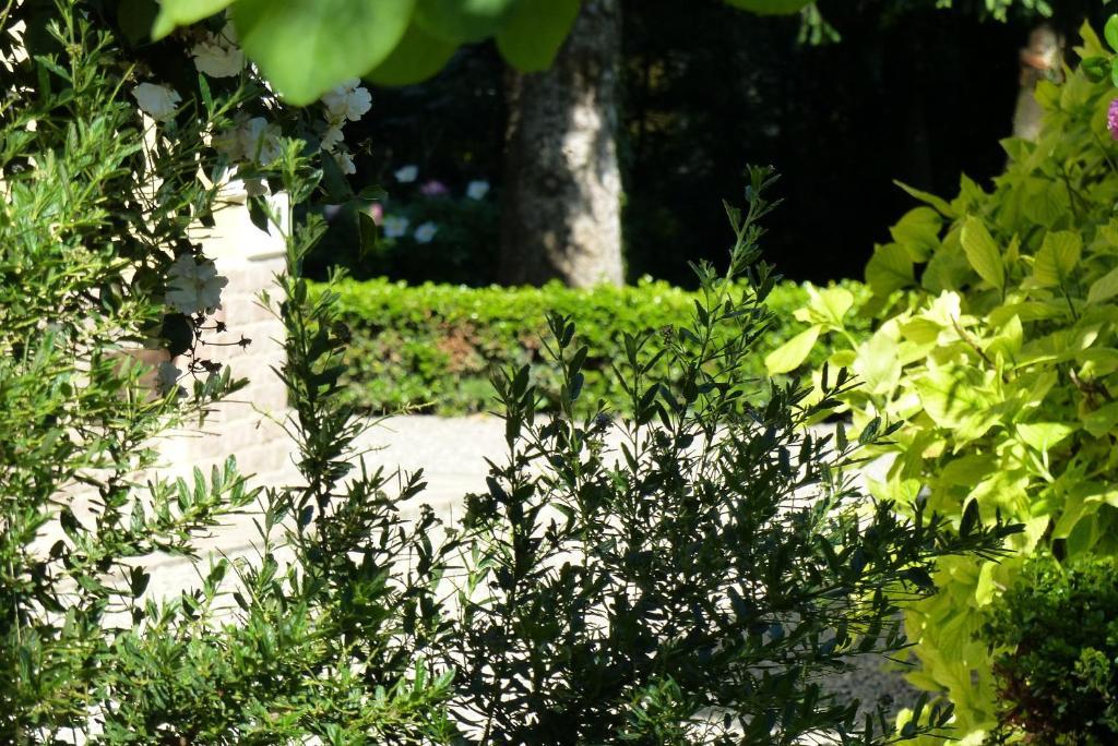 パルマ Villino Di Porporano Bed & Breakfast エクステリア 写真